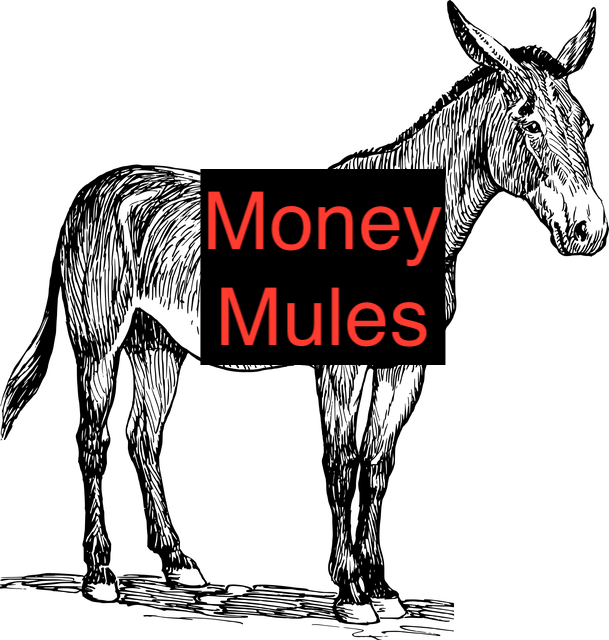 Image of mule with "Money Mules" text--illustration for money laundering by money mules